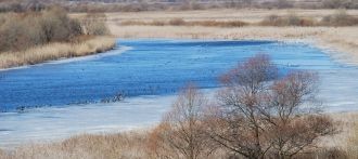 Государственный природный заповедник «Во
