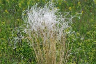 В заповеднике имеются довольно многочисл