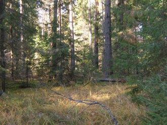 В заповеднике к охраняемым животным отно