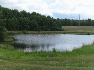 Надо сказать, что Мордовский заповедник 