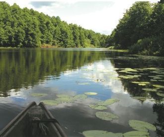 Флора заповедника представлена 788 видам