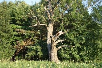 Только сильные ливни способны привести к