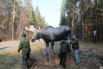 Первоочередной задачей создания заповедн