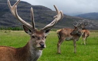 Из Воронежской области и Херсонской (Аск