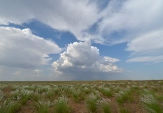 Участок «Озеро Маныч-Гудило». Манычская 