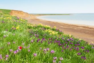 Заповедник Черные земли