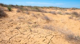 Биосферный заповедник «Черные земли» учр