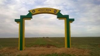 Среди уток-мигрантов наиболее многочисле