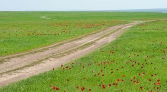 Участок «Черные Земли». Прикаспийская ни