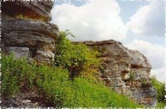 Основной объект охраны в заповеднике — е