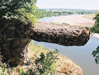 В первом ярусе кроме дуба встречаются ос