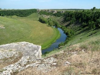 Из видов, занесенных в Красную книгу ССС