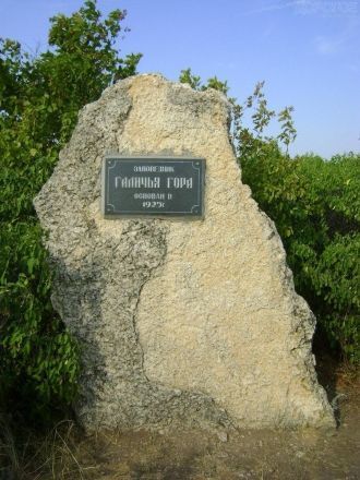 8 апреля 1925 г. первые несколько гектар