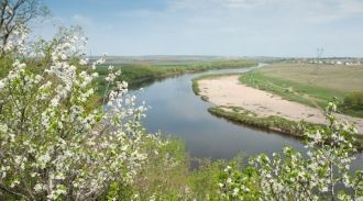 «Ботанический феномен» заповедника состо