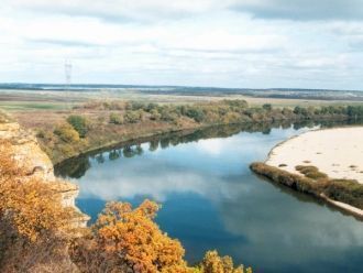 Основу травяного яруса составляют сныть,
