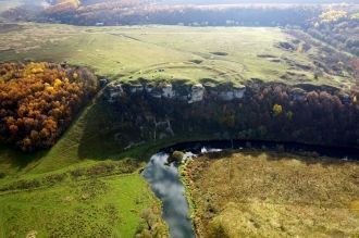 Леса занимают около 50% заповедной терри