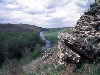 Опушки часто окаймлены зарослями терна, 