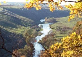 В 1951 г. заповедник Галичья Гора был ли