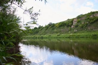 Флора сосудистых растений заповедника оч