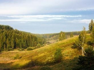 Заповедник Брянский лес