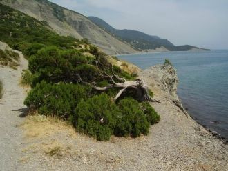 Характерные черты морского побережья на 