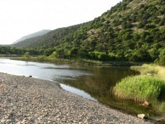 На прибрежных каменистых террасах и некр