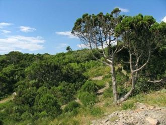 Горы, хоть и совсем невысокие, заканчива
