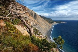 В последние десятилетия резко сократилас