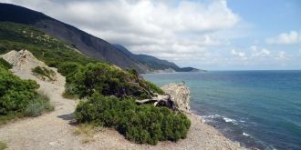 Флора заповедника включает 117 видов-энд