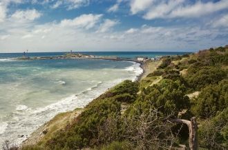 В сообществах можжевельника и шибляка, в