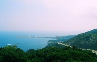 Граб восточный (грабинник), фисташник, д