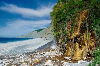 Большинство из них редкие и исчезающие в