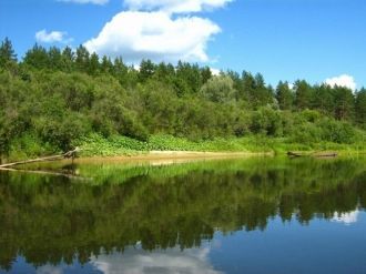 Заповедник Большая Кокшага