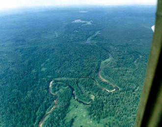 Здесь встречаются две природные зоны во 