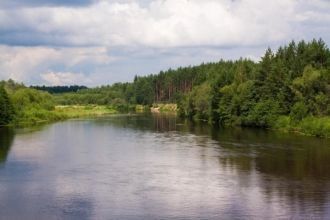 Но даже здесь они зачастую сменяются зар