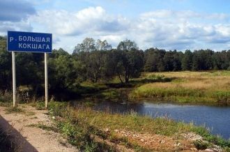 В пойме Большой Кокшаги дуб успешно осва