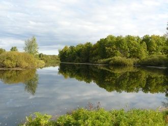 По территории заповедника протекает 20 р