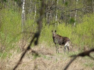 В окрестностях озер находятся небольшие 