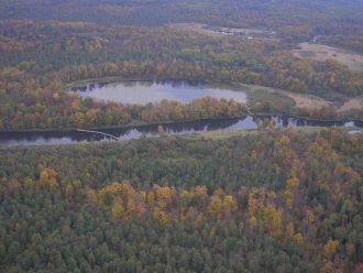 Один из самых любопытных представителей 