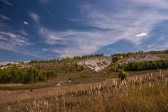 В Красную книгу России занесены такие ви