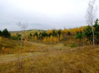 Фауна птиц весьма разнообразна. Уже ранн