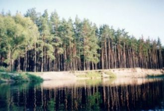 Среди водных растений представлены плава