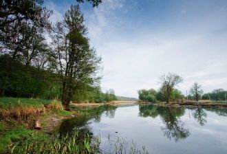 Густые леса всегда служили надежной защи