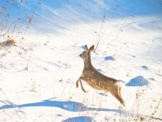 Но в целом район относят к климатически 