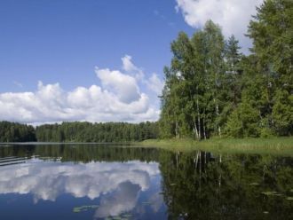 При правительстве Петра I дубравы охраня