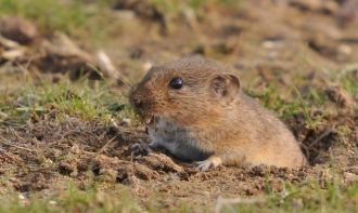 В заповеднике представлены благоприятные