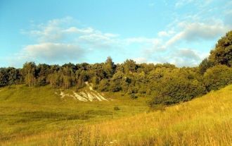 Растений 550 видов цветковых и папоротни