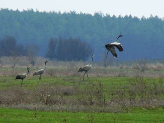 Рельеф территории очень разнообразен, ра
