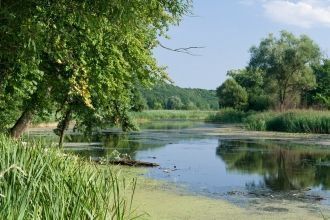Однако в послереволюционные годы некому 