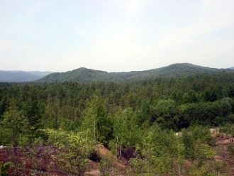 От мечены редкие виды – башмачок крупноц